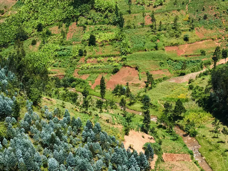 East Africa — EFFECTIVE M&N export destination