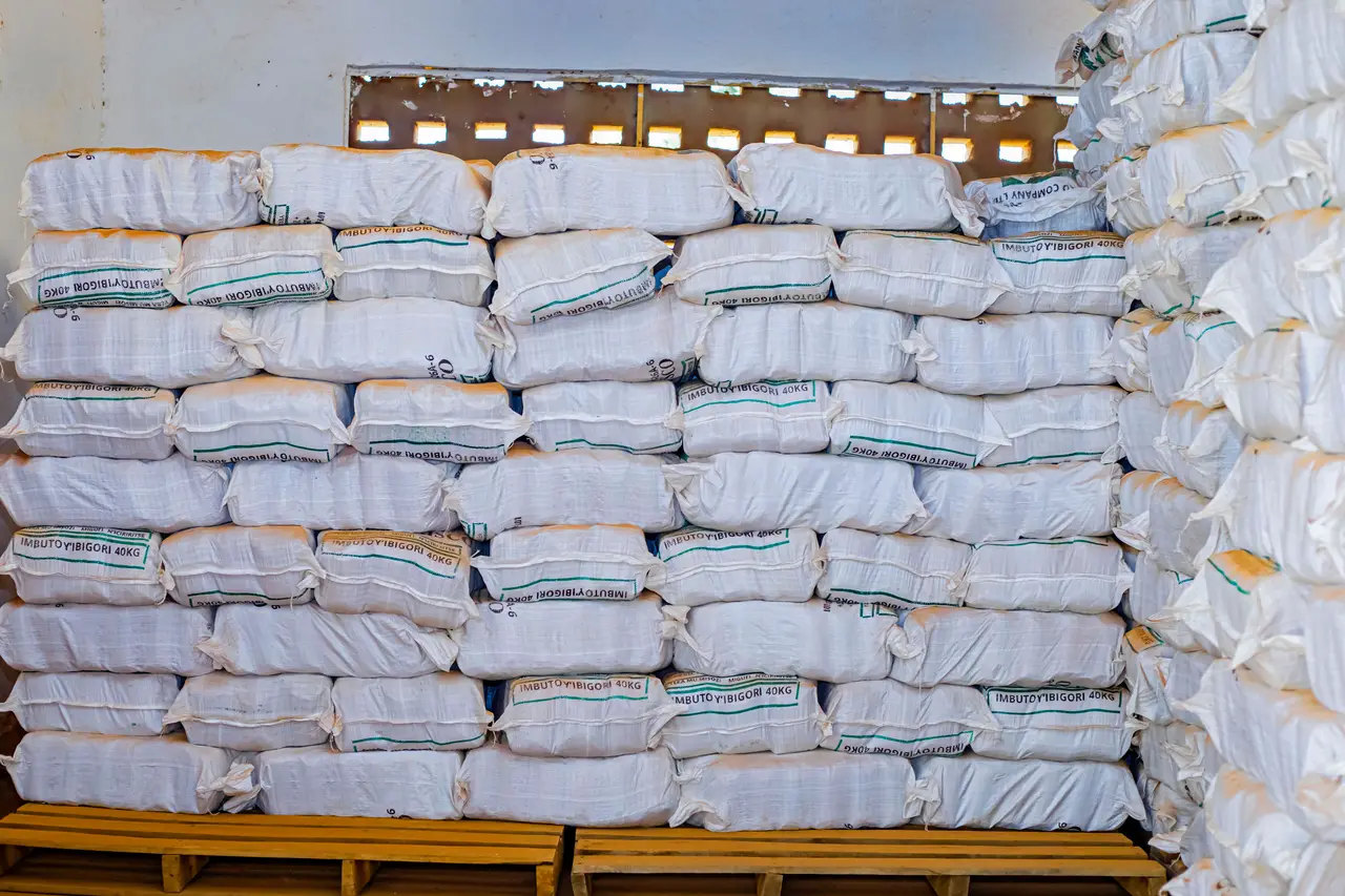 Biofortified Maize Flour