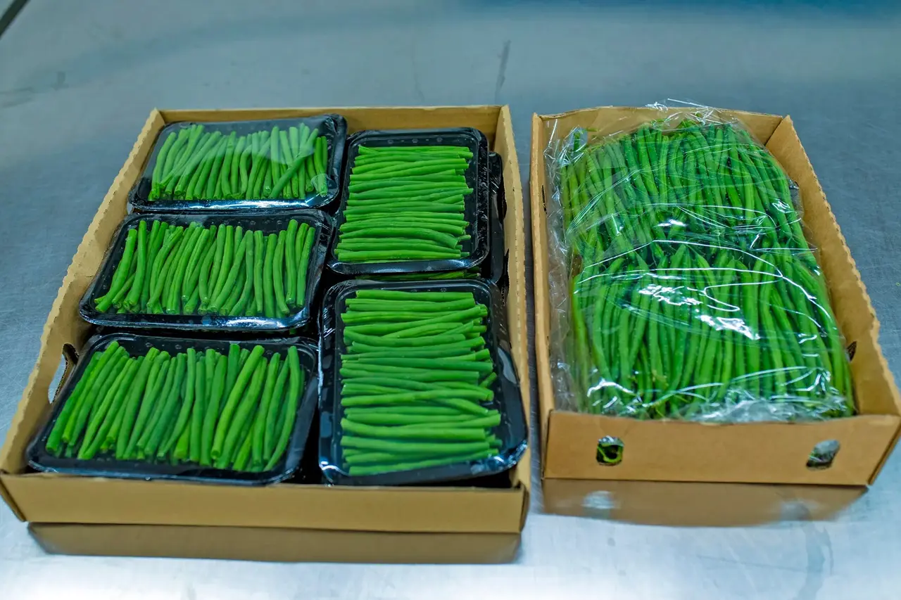 French Beans